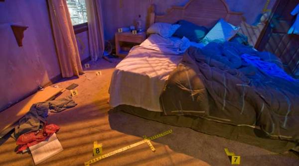 cazul elodia copie la indigo in franta ce au decis judecatorii