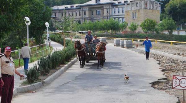 sa dai foc la puscarie si la casa de nebuni la spitalul socola din iasi nu se vor mai face internari o perioada