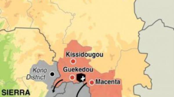 organizatia mondiala a sanatatii peste 200 de morti de la declansarea epidemiei de ebola in guineea