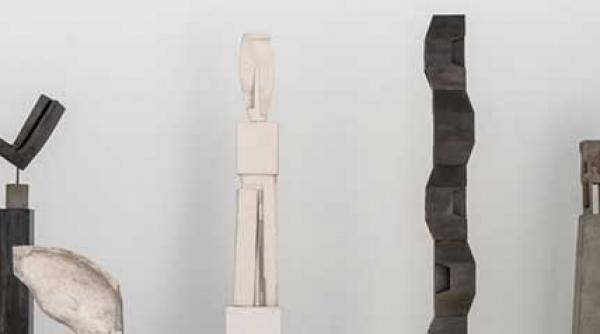 efectul brancusi la viena