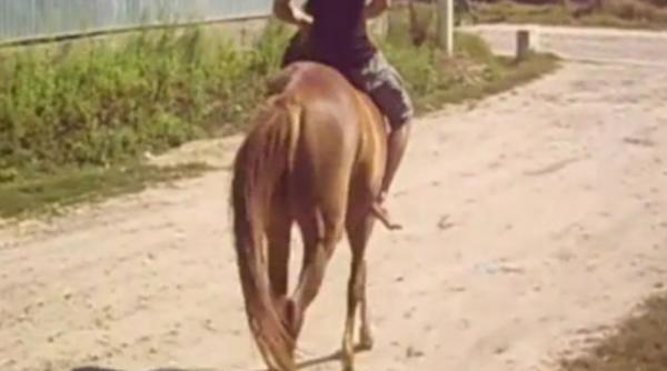 accident cal adolescent beat