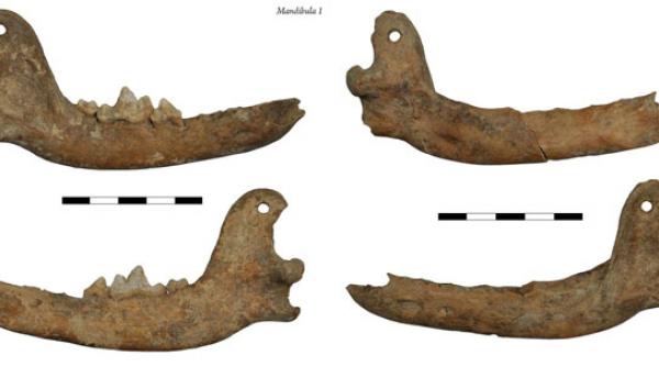 pandantive de acum 4500 de ani