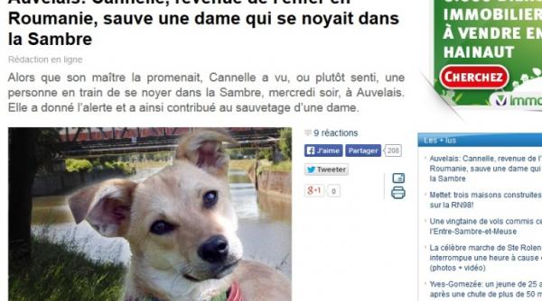 o catelusa adoptata din romania a salavat o femeie de la inec in belgia