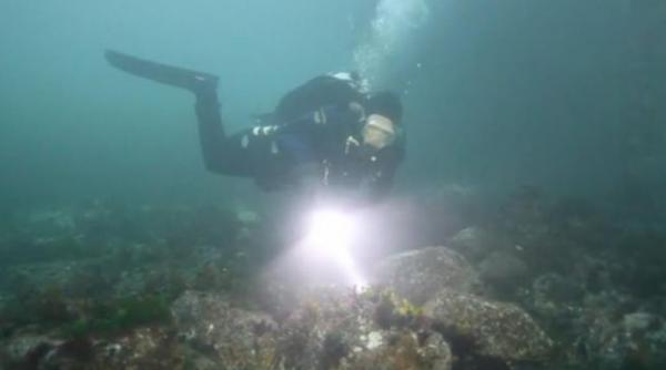 e fara precedent nu am mai vazut ceva de o asemenea magnitudine descoperire incredibila facuta de cercetatorii americani video