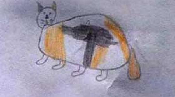 un baietel si a pierdut pisica il puteti ajuta sa o gaseasca