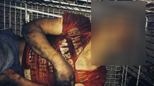 marturii cutremuratoare de la scena linsarii unui rom din romania in franta