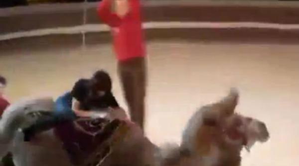 circ camila pantaloni rupti