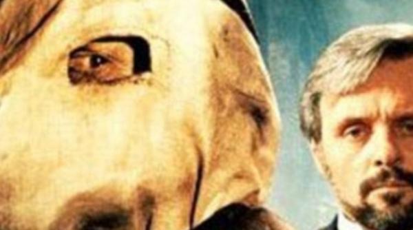 povestea omului elefant galerie foto