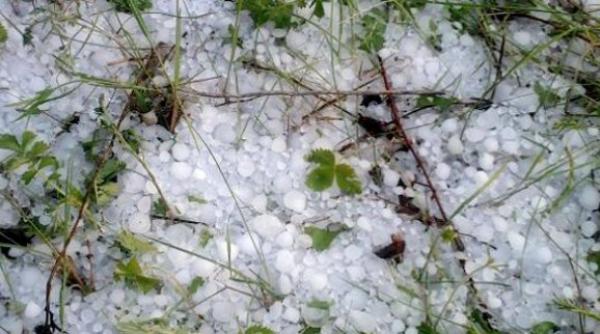 grindina cat oul de gaina in giurgiu mai multe case masini si culturi agricole au fost distruse la comana