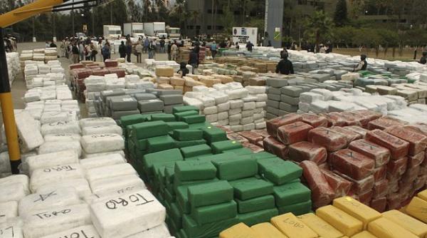 captura record de canabis aproape 43 de tone retinute de vamesi