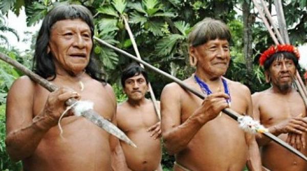 cercetatori americani acuza i ca au vandut sangele unor ba tina i din amazon ce secret ascunde adn ul tribului waorani
