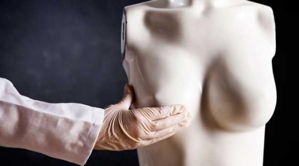 san din tesutul gras