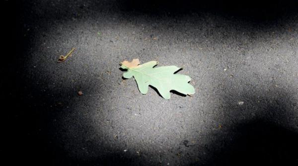 inceputul saptamanii vine cu ploi grindina si vijelii de miercuri se incalzeste din nou