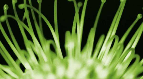 internetul lucrurilor partea intunecata risipa uriasa de energie