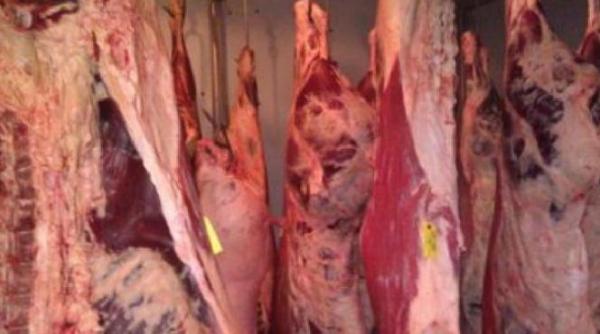 rusia import romania carne vita bovine boala vacii nebune