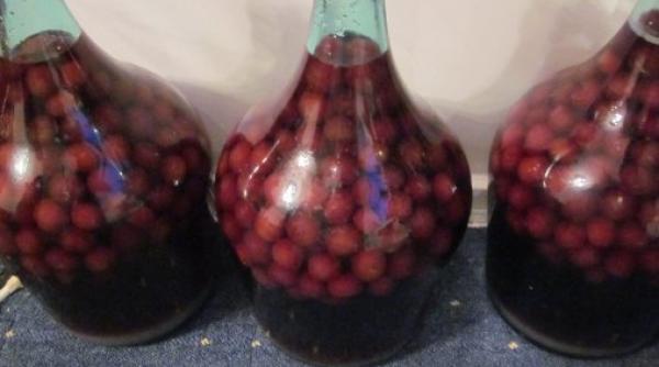 coma alcoolica visinata copil