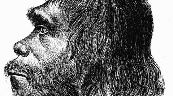 cu cine a avut o relatie omul de neanderthal