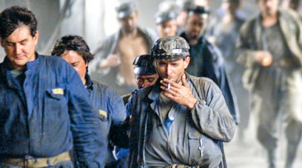 gorj angajati ceo batuti de hoti