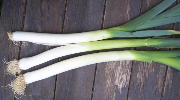 prazul e sanatate curata nu trebui sa fii oltean ca sa tii asta 100 de motive ca sa mananci praz