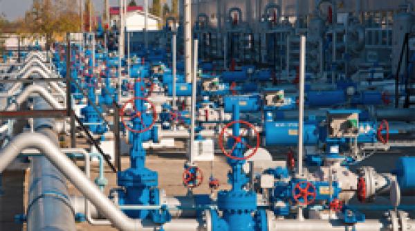 nicolescu in urmatoarele zile saptamani sau luni am putea asista la noi descoperiri de titei sau gaze