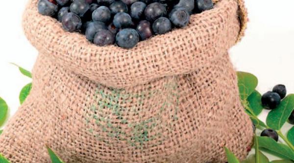 afinele i sanatatea 8 grupe de boli in care sunt eficiente