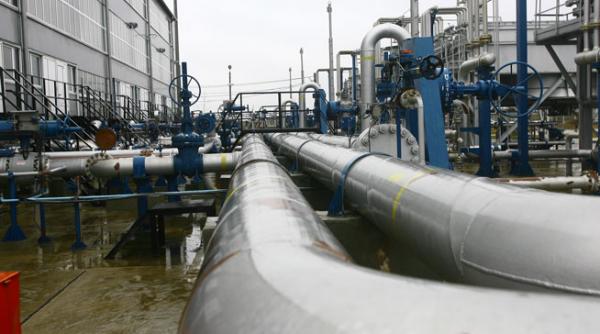 gazele interne tranzactionate la bursa