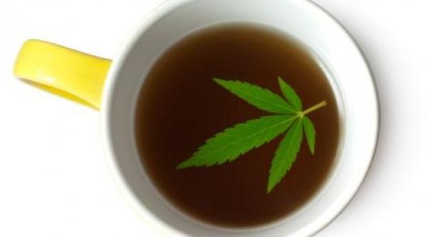 miracol necunoscut uleiul de semin e de canepa 7 indica ii terapeutice pre ioase