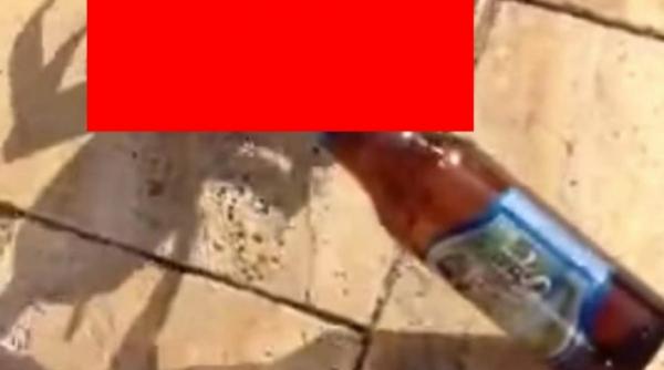 crabul furacios a sutit o bere de pe plaja video