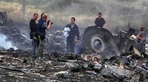 steward mh17 daily mail