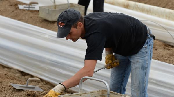 neues deutschland catre populatia germana respectati muncitorii romani