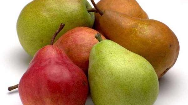 rusia interzice importul de fructe din republica moldova