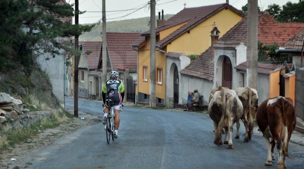 imagini incredibile din turul sibiului ciclistii trec pe langa mortul dus spre groapa
