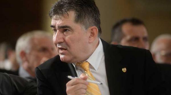 ioan ghise demisioneaza din pnl