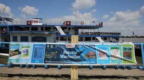 salveaza planeta pentru familia ta