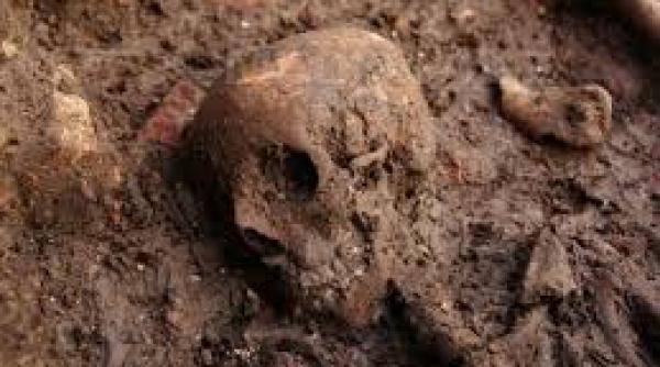 schelet uman gasit in curtea unei case din arad oasele vor fi trimise la mina minovici pentru investigatii