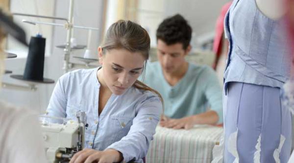 scurta istorie a invatamantului profesional