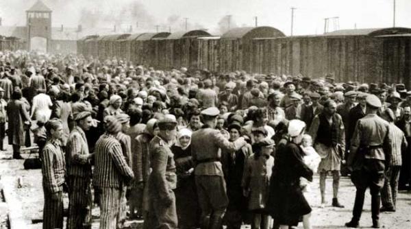 jurnalul unui supravietuitor de la auschwitz 3 m a pus sa l mangai la organele genitale au urmat alte seri cand trebuia sa i fac sex oral iar intr o seara mi a scos pantalonii si m a patruns