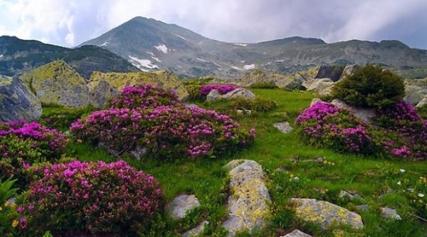 scapa de caldura mergand la munte destinatii montane din romania pentru a te racori galerie foto