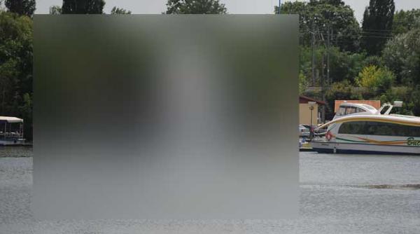 foto aparitie inedita pe luciul lacului herastrau