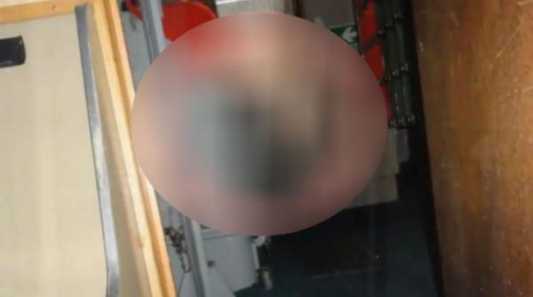 imaginea care isterizat retelele de socializare ce a surprins un docher la bordul unei vechi fregate militare video