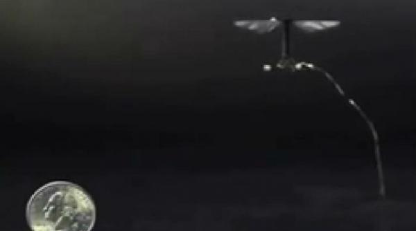 robotii ar putea inclocui pe viitor albinele