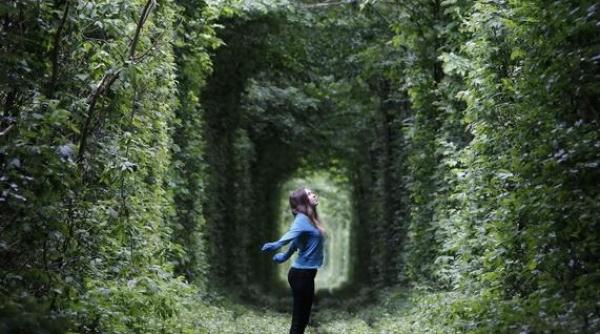 tunelul iubirii din romania locul care i a fermecat pe straini este pe noua lista descopera europa a parlamentului european