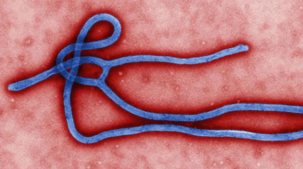 oms consulta expertii in etica pentru a decide asupra folosirii medicamentelor experimentale pentru tratarea ebola