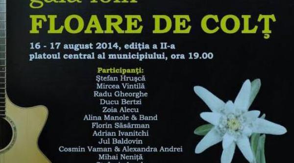 gala floare de colt rasare pentru a doua oara la sighet