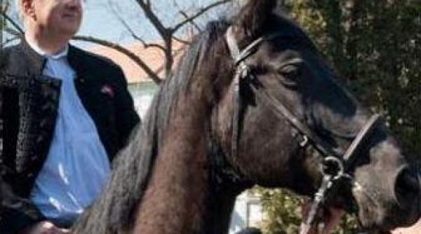 cum este calcat in picioare tratatul romano ungar de oficialii de la budapesta