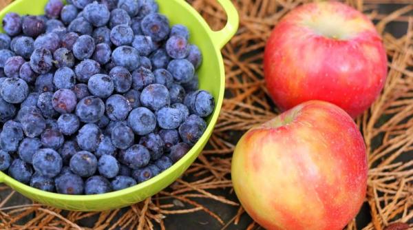 top 10 alimente pentru o dieta sanatoasa i echilibrata