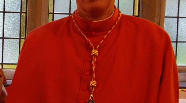 seful bisericii catolice a irlandei a demisionat cardinalul brady a fost criticat de victimele pedofililor