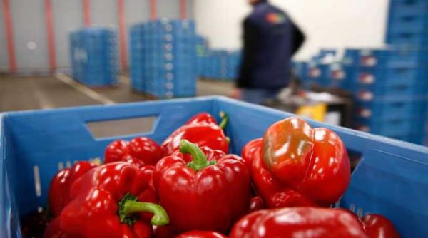 ue da 125 de milioane de euro pentru legumicultori