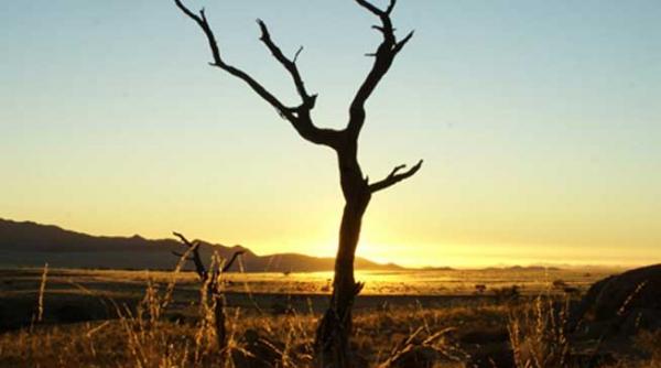 de azi omenirea traieste pe credit