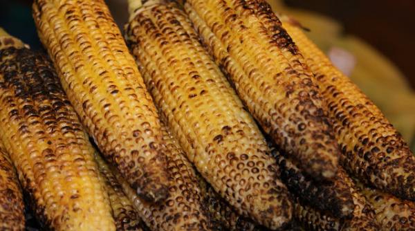 porumbul ine creierul tanar afla in ce boli grave e indicat i cum ac ioneaza